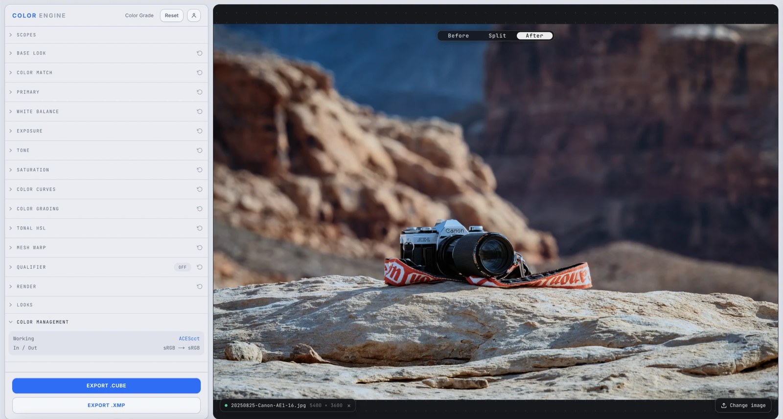 Color Engine's Color Management panel showing the ACEScct working space and sRGB-to-sRGB input and output transforms, over a desert canyon photo