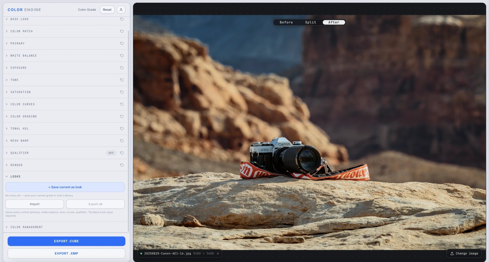 Color Engine's Looks panel for saving, applying, importing, and exporting color grades, over a desert canyon photo