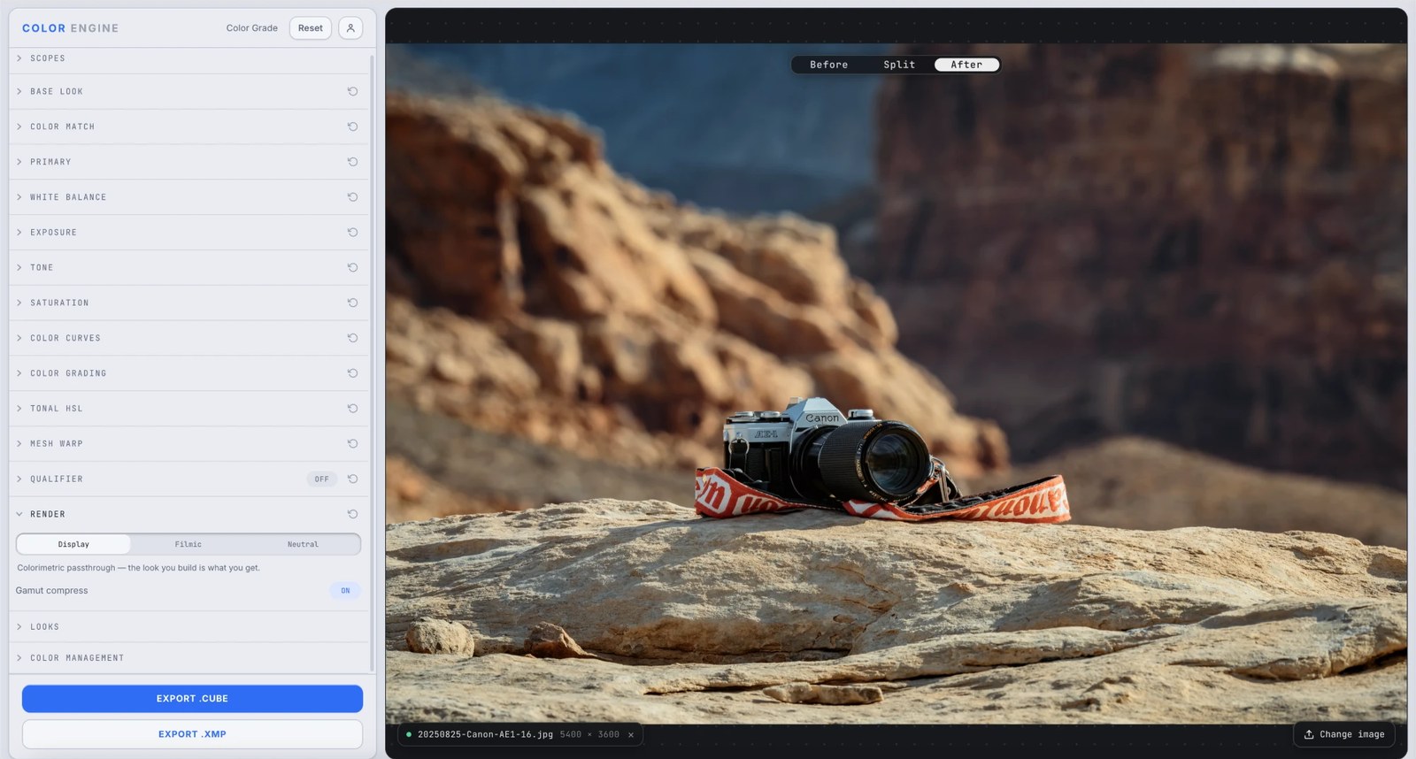 Color Engine's Render panel set to Display, a colorimetric passthrough, over a desert canyon photo