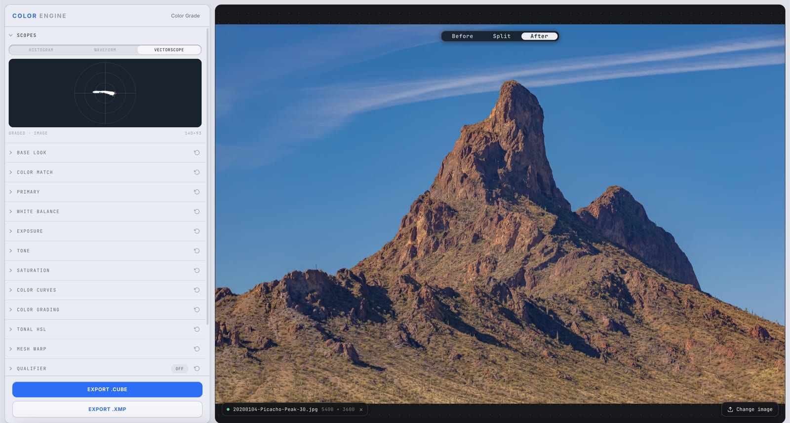 Color Engine's Scopes panel showing the vectorscope of the same graded photo